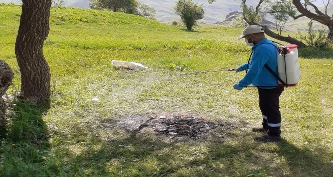 Hakkari'de keneyle mücadele çalışması