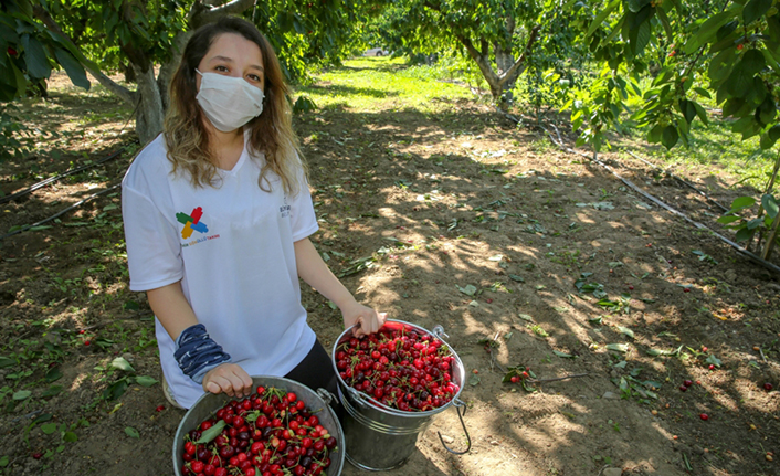 Üreticinin ürünü dalında kalmayacak