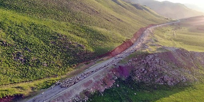 Göçerlerin zorlu göçü havadan görüntülendi