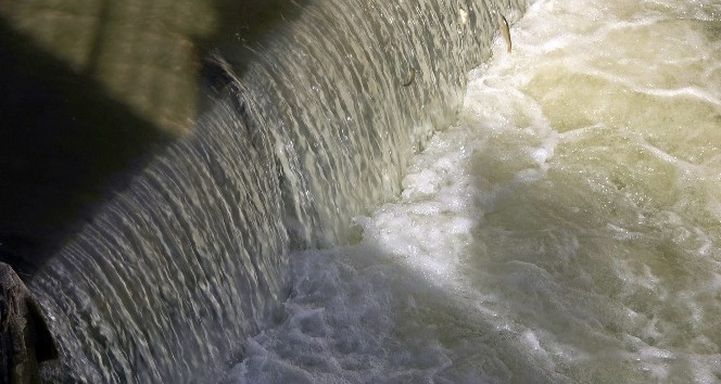 Yüksekova'da uçan balık şöleni