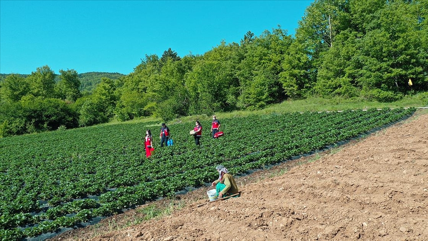 'Kovid-19 savaşçıları' aşı hizmetini bahçe ve tarlalardaki vatandaşların ayağına götürüyor