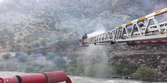 Hakkari'de ağaçlık alanda yangın