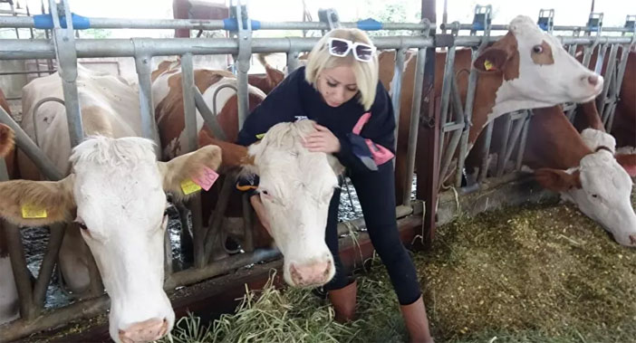 Spikerliği bırakıp hayvancılığa başladı