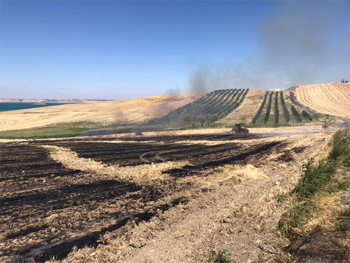 Makineden Sıçrayan Kıvılcım Tarlaları Küle Çevirdi