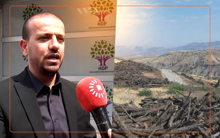 HDP Milletvekili Hüseyin Kaçmaz: Cudi'de günde 400 ton ağaç kesiliyor