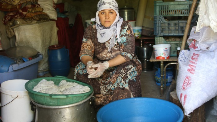 Otlu peynir Yüksekovalı kadınların emeğiyle sofraya ulaşıyor
