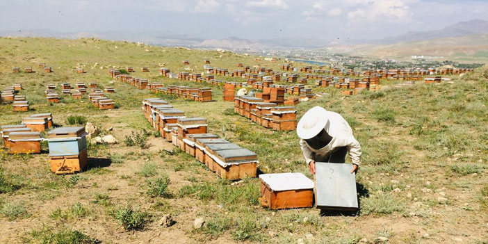 Van bölgesinde arıcılık can çekişiyor