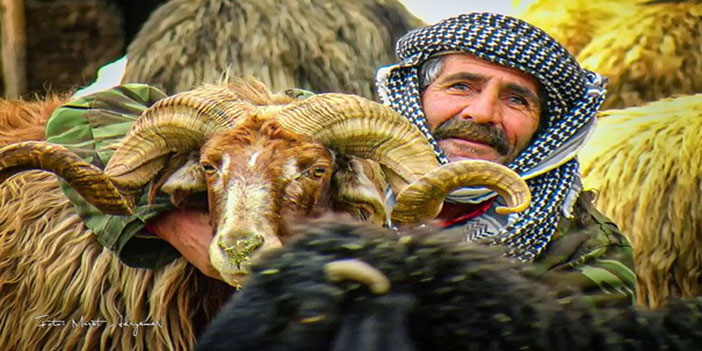 O kadar zenginleştik ki!