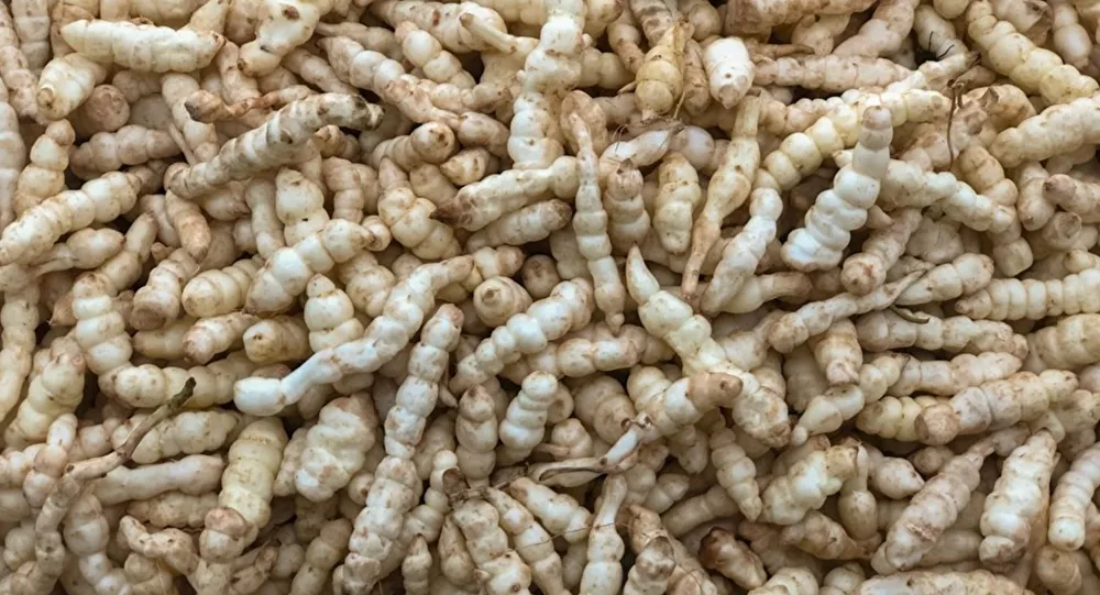 Kilosu 140 bin dolar