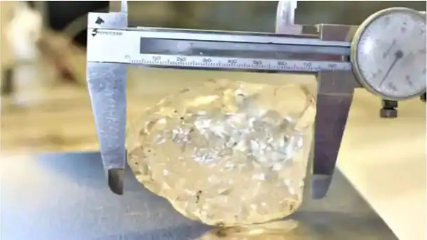 Dünyanın üçüncü en büyük elması bulundu