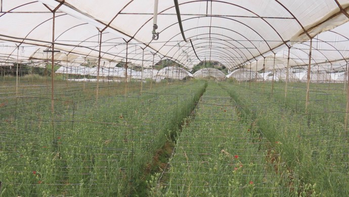 Seracılar borç batağında