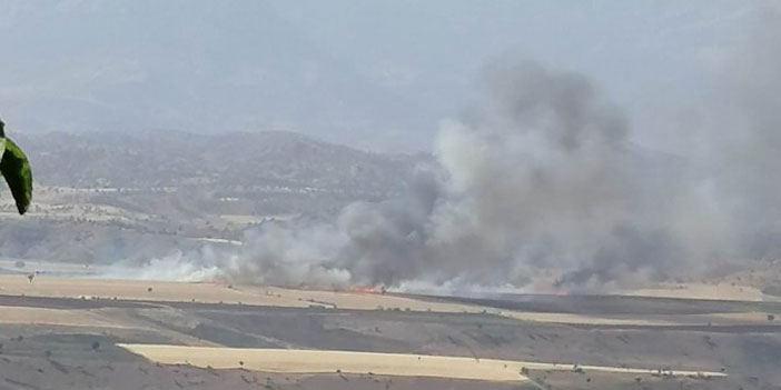 Şırnak’ta 200 dönümlük buğday kül oldu