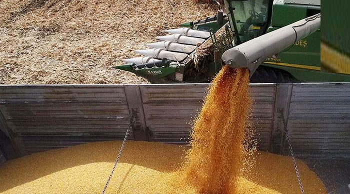 Toprak Mahsülleri Ofisi'nin yem ithalatı yetersiz bulundu