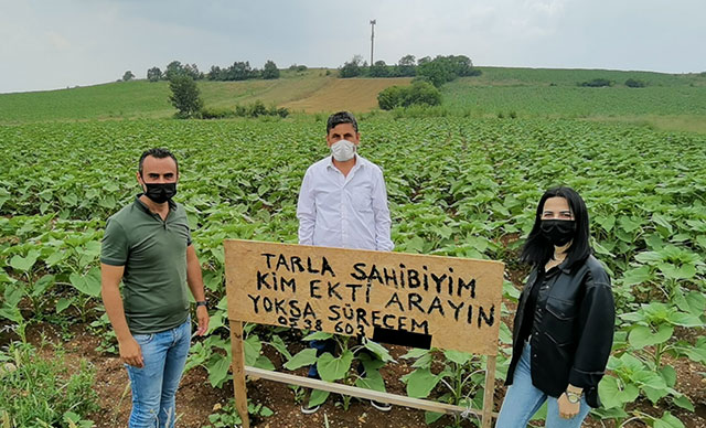 İzinsiz ekim yapan kişiyi tarlasına diktiği tabelayla arıyor