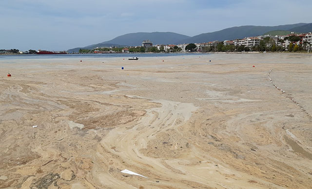 Bakan Kurum: Marmara Denizi'nde 5 bin 300 metreküp müsilaj temizledik