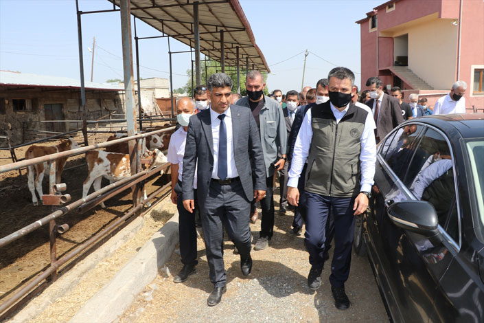 Pakdemirli'den yem fiyatları açıklaması