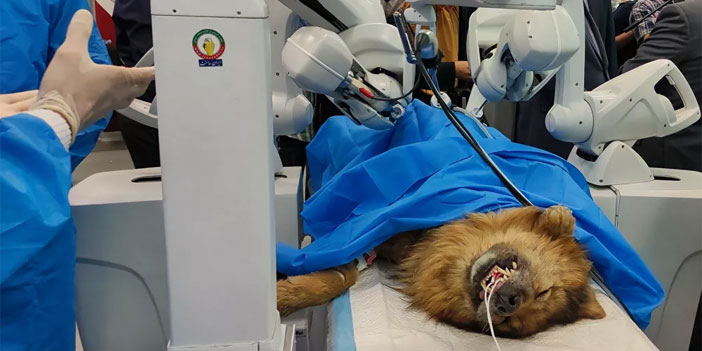 İran robotla ilk uzaktan ameliyatı yaptı