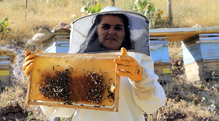 Yüksekovalı üniversite mezunu Hacer, 7 yıldır arıcılık yapıyor