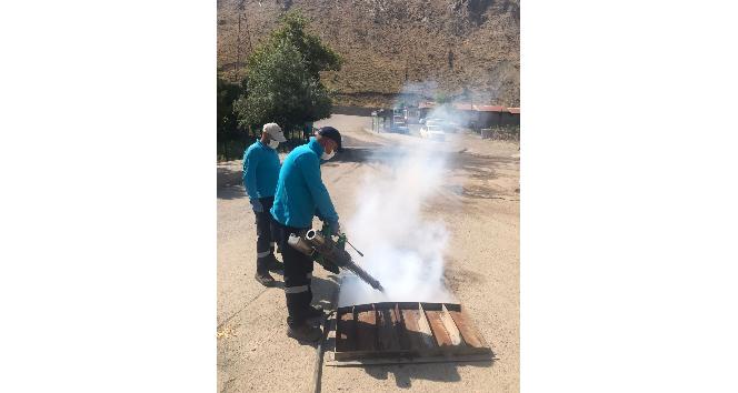 Hakkari'de sivrisineklere karşı kanal sisleme çalışması