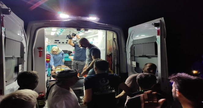 Şemdinli'de yılanın soktuğu çoban 2 saat sırtta taşınarak ambulansa yetiştirildi