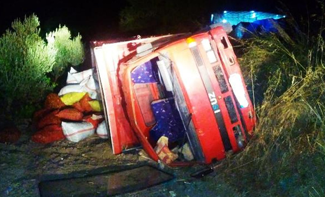 Geri manevra yapan kamyonet devrildi