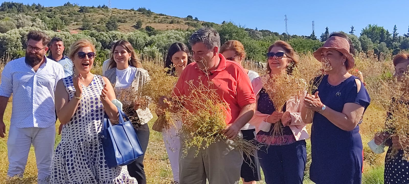 Anason hasadı başladı