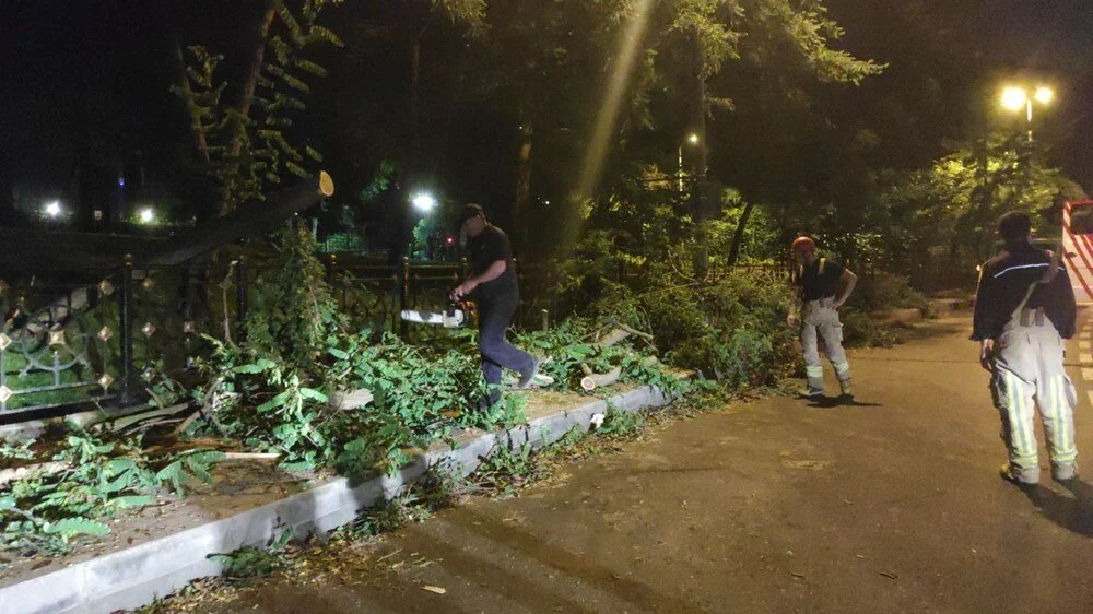 10 metrelik ağaç yola devrildi