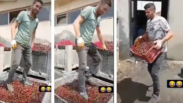 Meyve suyu yapılacak vişnelerin ayakkabıyla çiğnendiği işletmeye para cezası