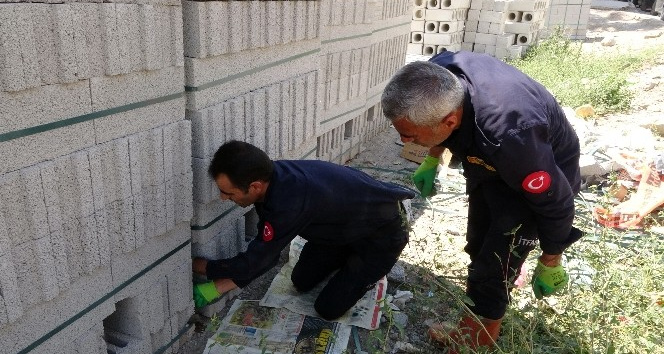 Briketler arasında mahsur kalan yavru köpek kurtarıldı