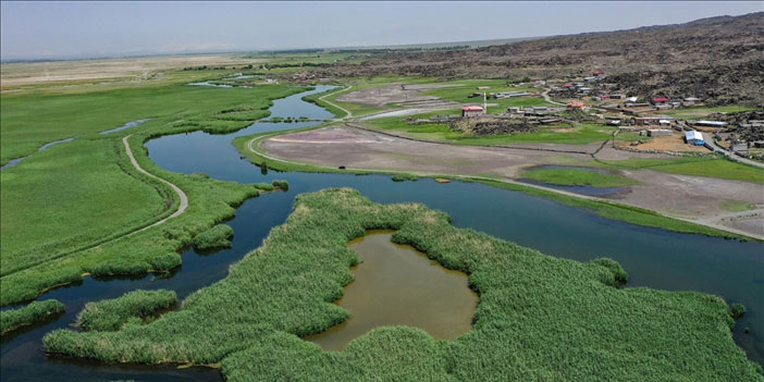 Buzulların erimesiyle oluşan sulak alanlar yaban kuşlarına hayat oluyor