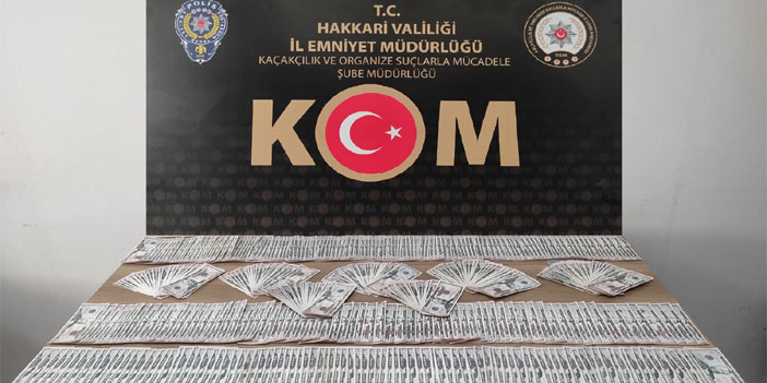 Hakkari'de sahte döviz operasyonu 3 gözaltı