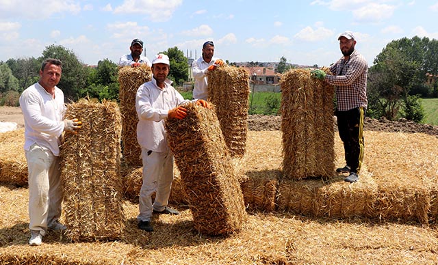 Müdür ve veliler, okul ve öğrencilerin ihtiyaçları için saman balyası taşıdı
