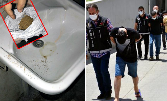 Bonzaiyi tuvalete dökerken yakalandı