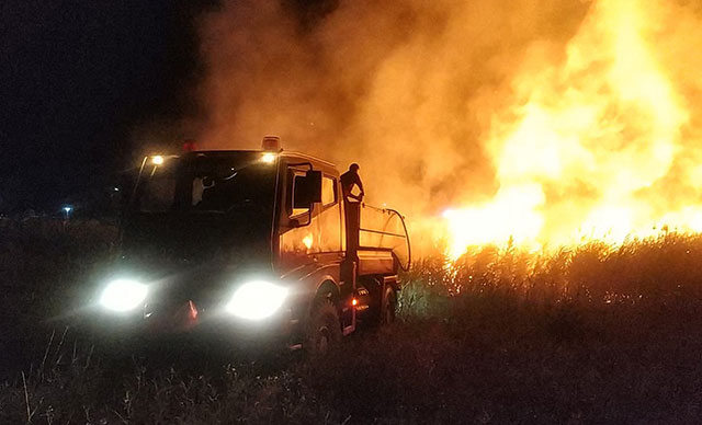 Düğünde atılan havai fişek sazlık alanı yaktı