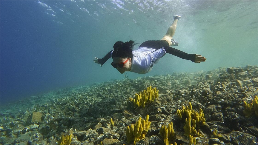 Göcek koyları serbest dalış tutkunlarını ağırlıyor