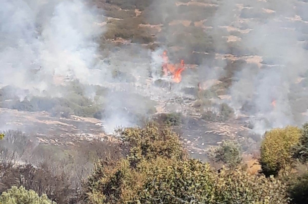 6 farklı noktada yangın çıktı