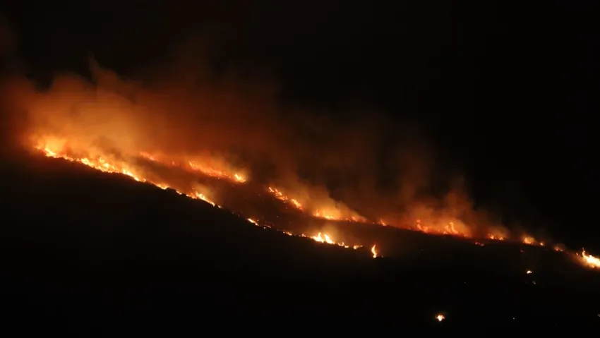 Hatay'ın iki ilçesinde orman yangını çıktı