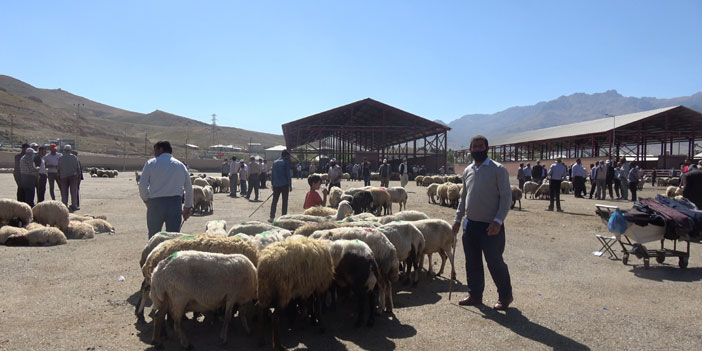 Kuraklık hayvan pazarını da vurdu