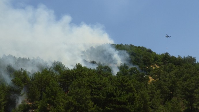 Hatay ve Mersin'de orman yangınları