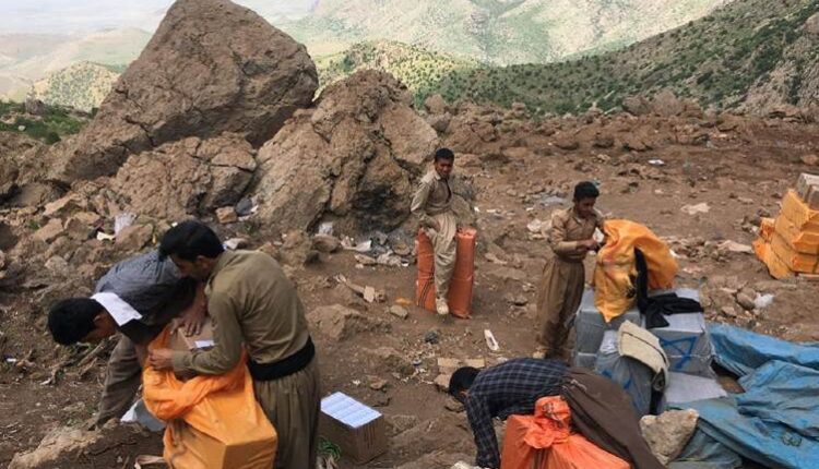 Haziranda 9 Kolber katledildi