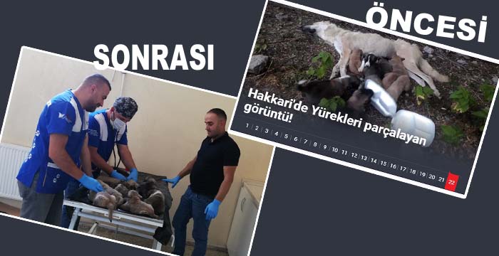 Hakkari Veteriner Kliniği hayat kurtarıyor