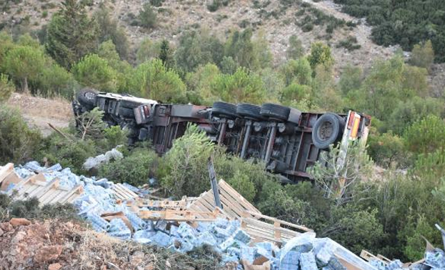 Sürücüsünün içinde uyuduğu TIR, hareket edip ormanlık alana devrildi