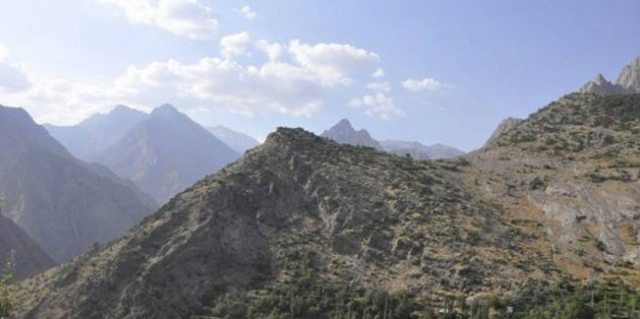 Yüksekova’da patlama: En az 15 koyun öldü