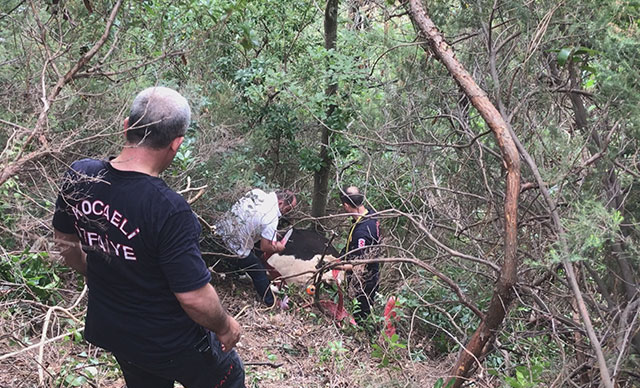 Kurbanlığı uçurumda kestiler