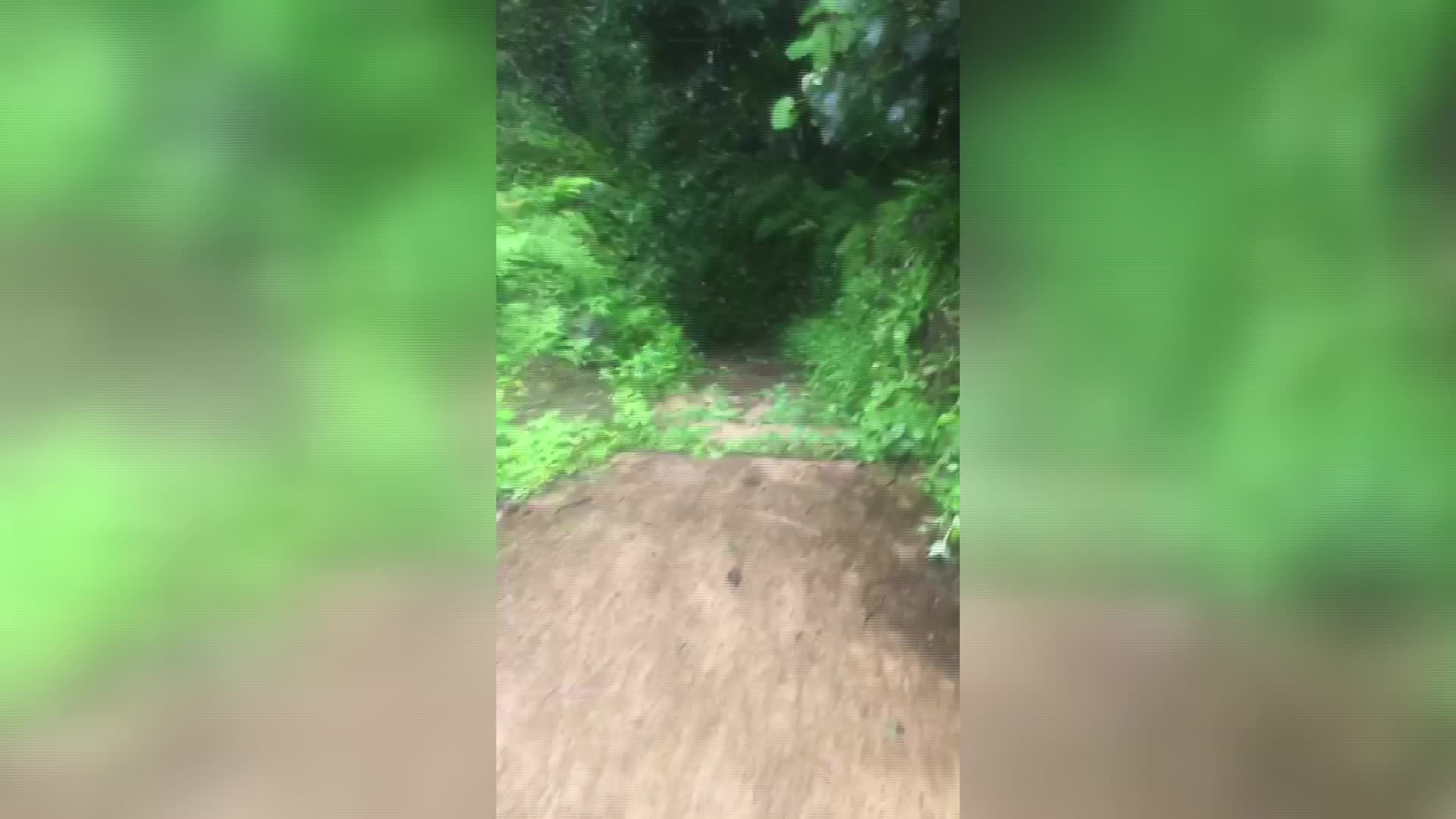 Ailesini ziyarete giden belediye işçisi, Rize'deki selde 9 kişiyi kurtardı