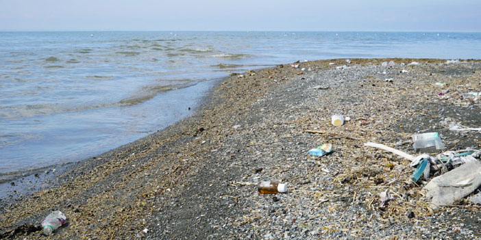 Van Gölü'nün kirlilik ve kuraklıkla sınavı