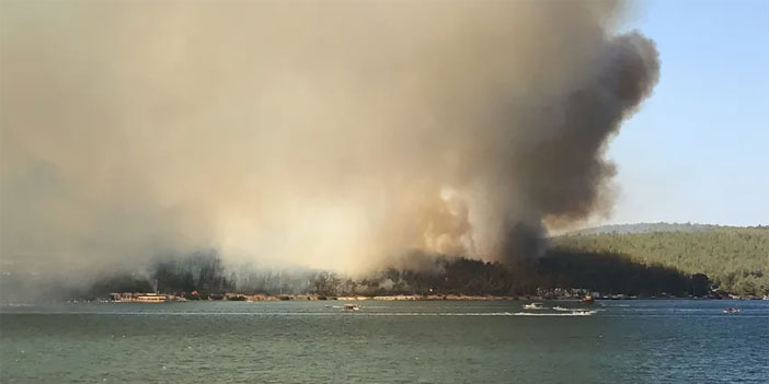 Türkiye'de 7 ilde çıkan yangınlarda 3 kişi can verdi