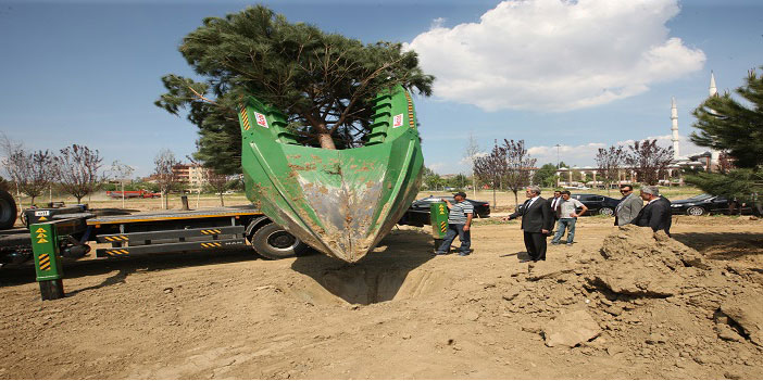 Orman yangınları ve Hakkari