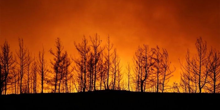 Bodrum ve Antakya'da yeni yangınlar çıktı, Manavgat'ta iki orman işçisi hayatını kaybetti