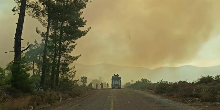 Türkiye'de yangınlarda son dururum